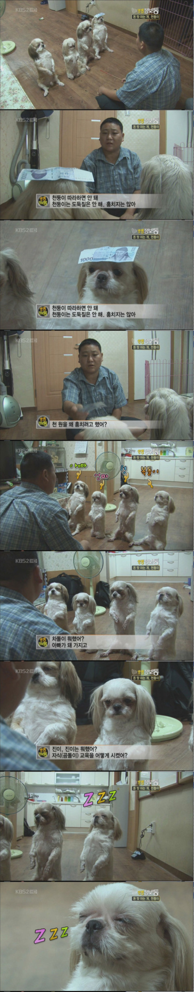 귀여웤ㅋㅋㅋㅋㅋ 벌받기 : XcqC9U.jpg
