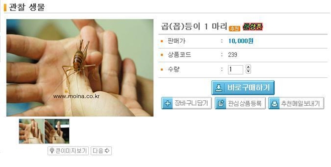 곱등이 팝니다. : 곱등이팜.jpg
