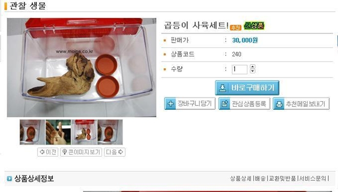 곱등이 팝니다. : 사육세트.jpg