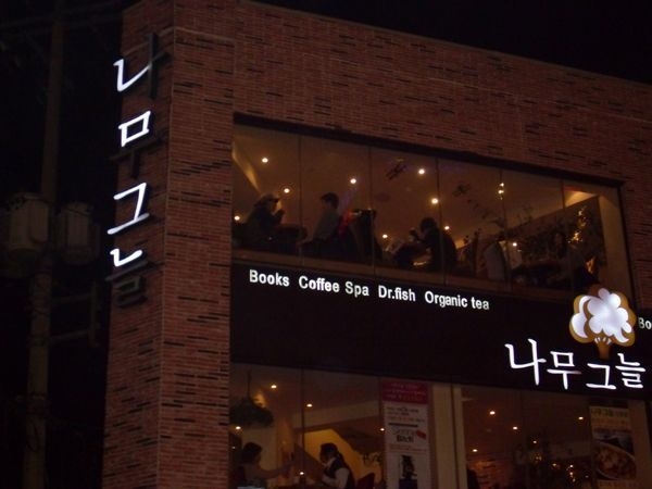 나무그늘 : 근.jpg