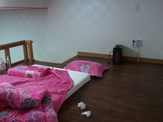 복층 오피스텔 (1000/50)  내놔요 사진있음 : 2010-12-28 18.15.41.jpg